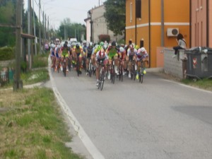 10659329_435524119959039_1669858008361726177_n